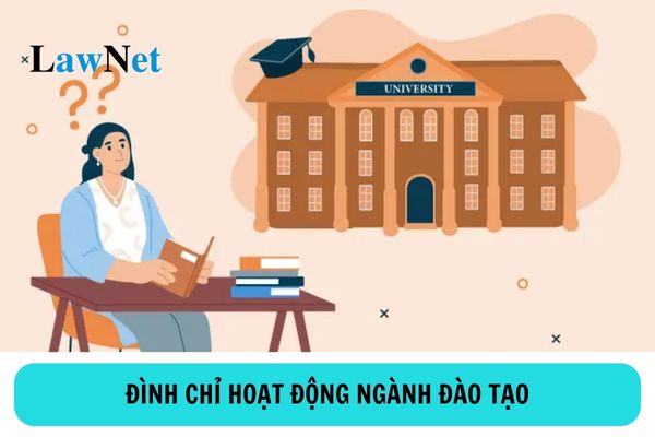 Cơ sở giáo dục đại học bị đình chỉ hoạt động của ngành đào tạo khi nào?