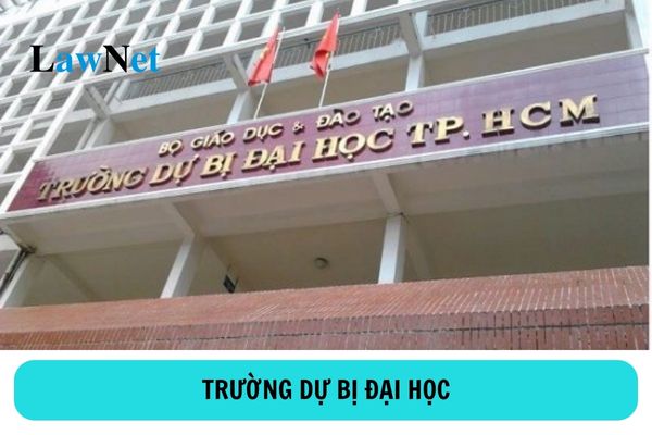 Trường dự bị đại học là gì? Trường dự bị đại học có nhiệm vụ gì?