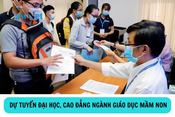 Những ai được đăng ký dự tuyển đại học, cao đẳng ngành giáo dục mầm non?