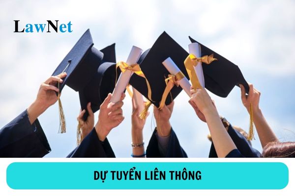 Người dự tuyển liên thông phải có các văn vằng gì?