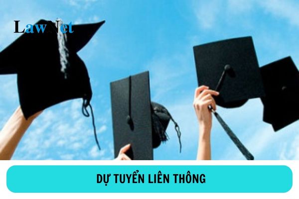 Điều kiện của người dự tuyển liên thông trình độ trung cấp, cao đẳng, đại học là gì?