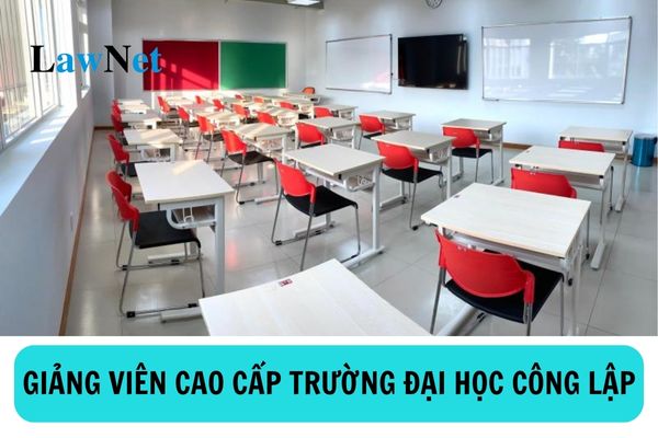 Giảng viên cao cấp của trường đại học công lập có mã số mấy? 