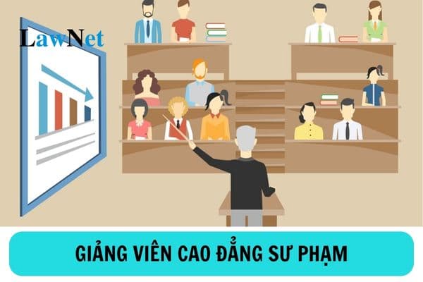 Tiêu chuẩn, điều kiện xét thăng hạng chức danh nghề nghiệp giảng viên cao đẳng sư phạm chính ra sao?