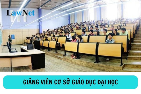 Nhà nước có các chính sách gì đối với giảng viên cơ sở giáo dục đại học?