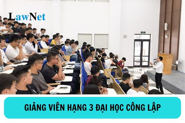 Giảng viên hạng 3 đại học công lập có mã số mấy? Giảng viên hạng 3 đại học công lập có hệ số lương là bao nhiêu?