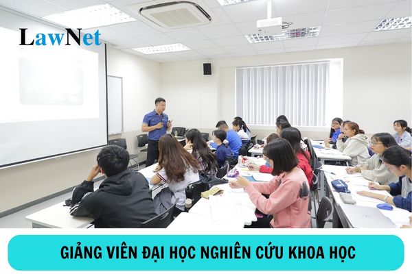 Thời gian dành cho nghiên cứu khoa học của giảng viên đại học ít nhất bao nhiêu giờ?