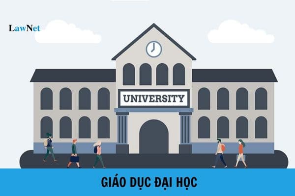 Giáo dục đại học giảng dạy các trình độ nào? Các hình thức đào tạo của giáo dục đại học?