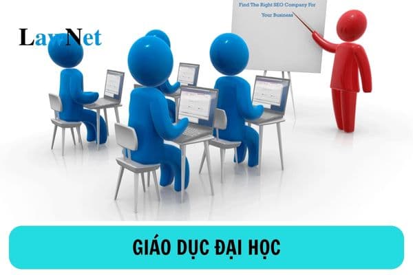 Mục tiêu của giáo dục đại học là gì? Giáo dục đại học đào tạo các trình độ nào?