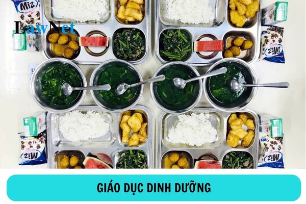 Nội dung giáo dục dinh dưỡng cho trẻ mầm non và học sinh tiểu học?