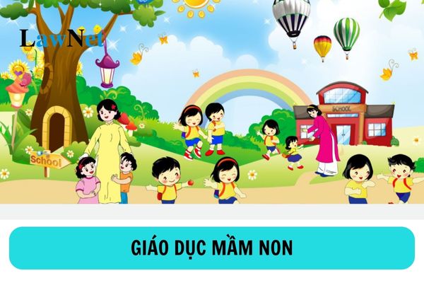 Nhà nước có chính sách gì về phát triển giáo dục mầm non?