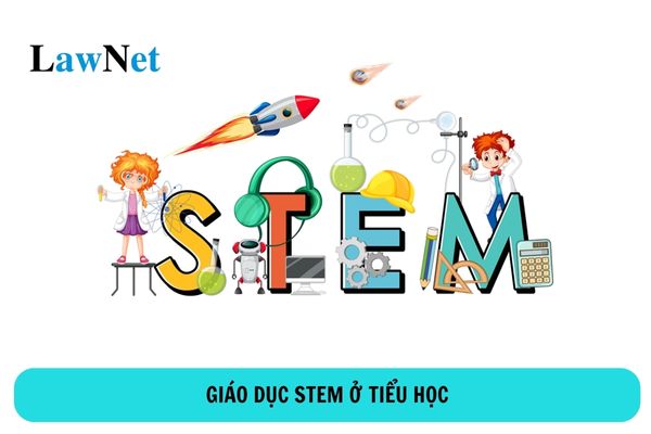 Giáo dục STEM ở tiểu học là gì?