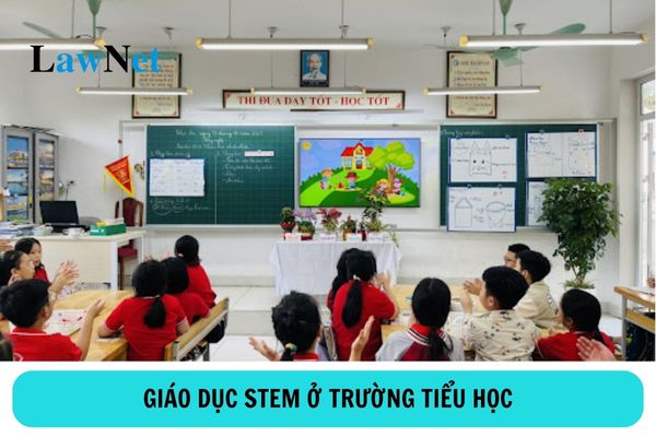 Thực hiện giáo dục STEM ở tất cả trường tiểu học từ năm học 2024-2025?