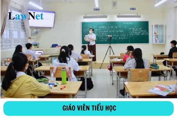 Cử nhân các ngành nào được tham gia bồi dưỡng nghiệp vụ sư phạm để trở thành giáo viên tiểu học?