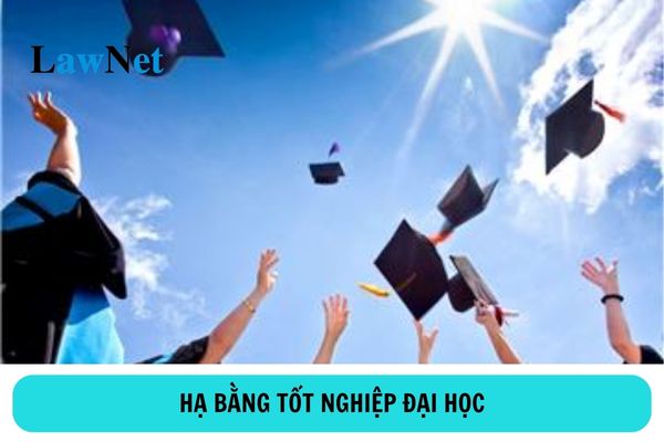 Học lại bao nhiêu tín chỉ thì bị hạ bằng tốt nghiệp đại học?