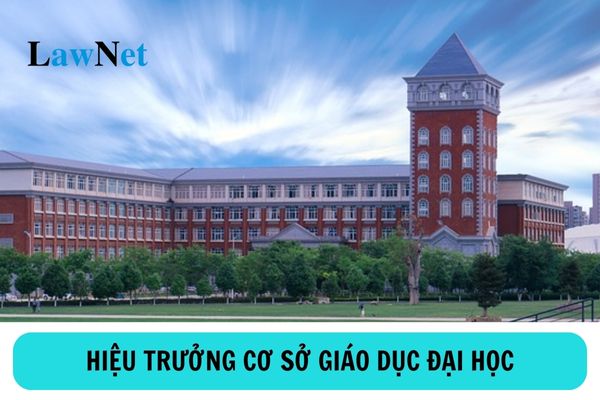 Tiêu chuẩn hiệu trưởng cơ sở giáo dục đại học như thế nào?