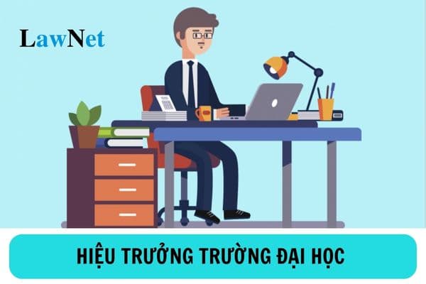 Hiệu trưởng trường đại học có nhiệm vụ và quyền hạn như thế nào?