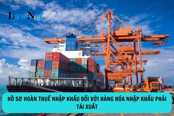 Hồ sơ hoàn thuế nhập khẩu đối với hàng hóa nhập khẩu phải tái xuất?