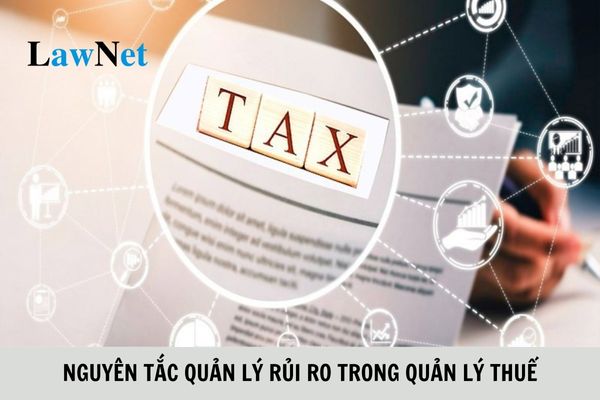 Quản lý rủi ro trong quản lý thuế phải tuân thủ các nguyên tắc gì?