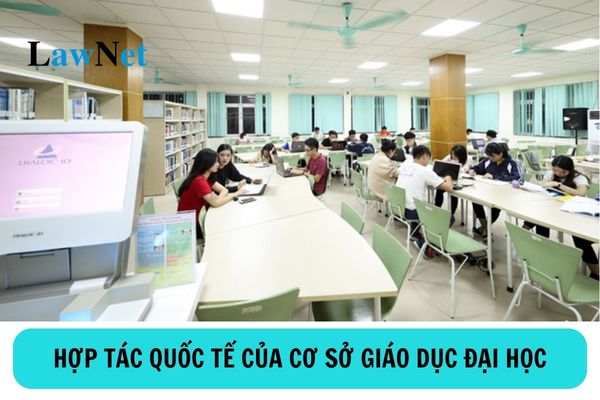  Các hình thức hợp tác quốc tế của cơ sở giáo dục đại học?