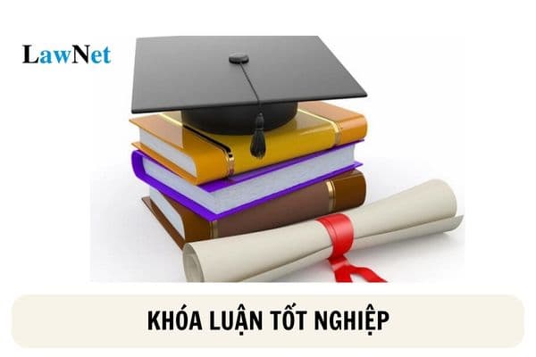 Sinh viên đại học thuê người làm hộ khóa luận tốt nghiệp bị xử lý như thế nào?