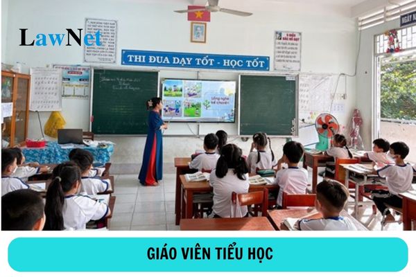 Không có bằng cử nhân ngành đào tạo giáo viên tiểu học có được làm giáo viên tiểu học?