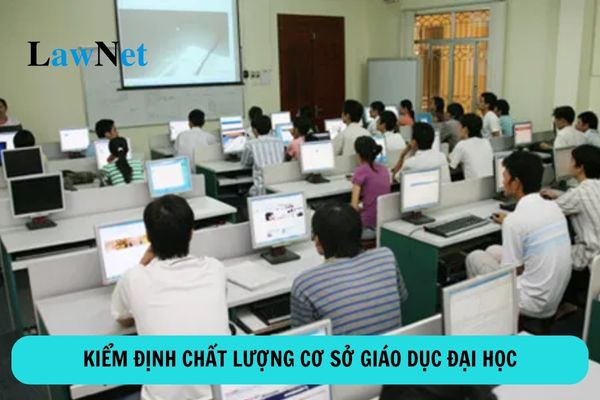 Kiểm định chất lượng cơ sở giáo dục đại học là gì? 