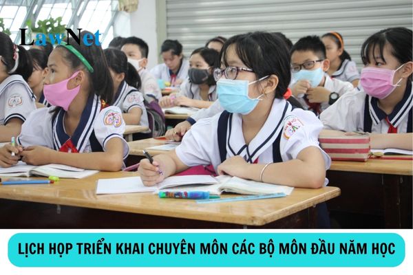 Lịch họp triển khai chuyên môn các bộ môn đầu năm học 2024 2025 cấp THCS, THPT TP HCM?