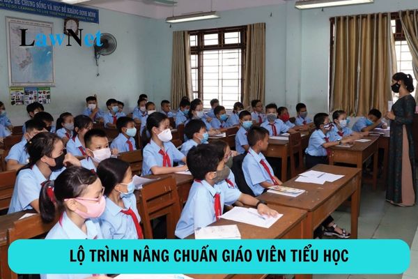 Lộ trình nâng chuẩn giáo viên tiểu học ra sao?