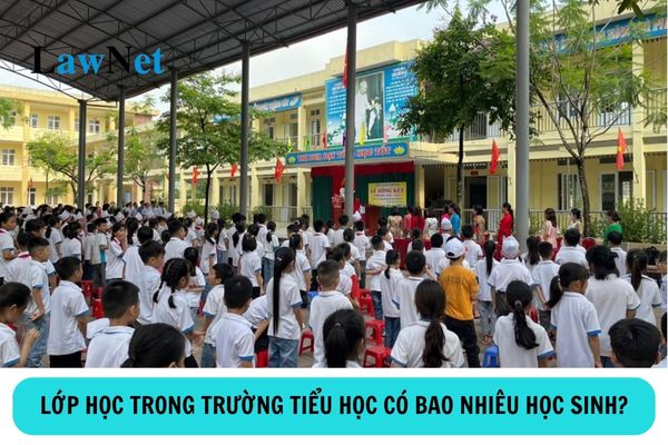 Lớp học trong trường tiểu học có bao nhiêu học sinh?