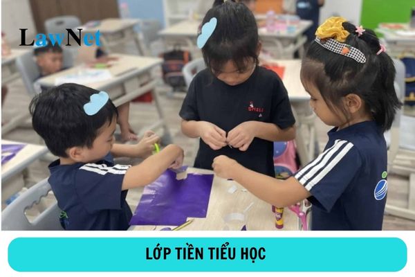 Lớp tiền tiểu học là gì? 