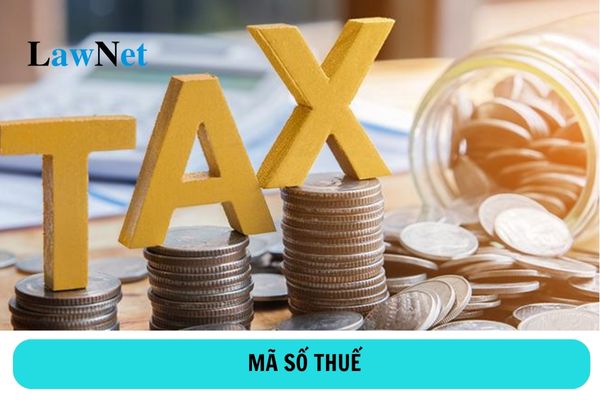 Mã số thuế là gì? Cá nhân được cấp mấy mã số thuế?