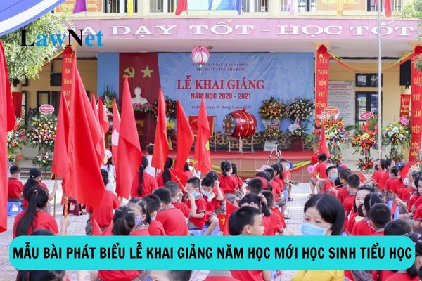 Mẫu bài phát biểu lễ khai giảng năm học mới 2024 2025 học sinh tiểu học?