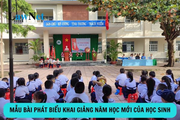 Tổng hợp các mẫu bài phát biểu khai giảng năm học mới của học sinh năm học 2024 2025?