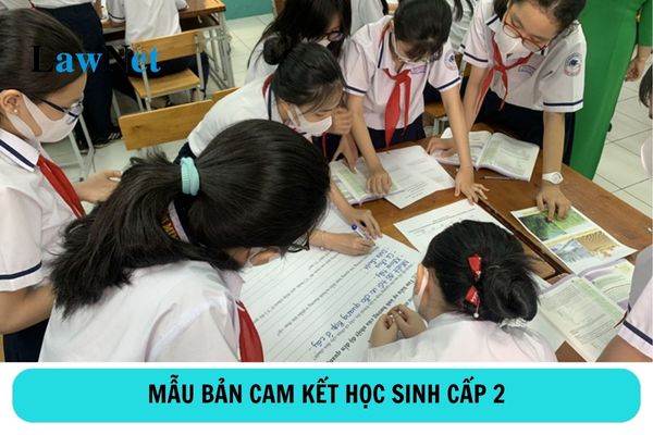 Mẫu bản cam kết học sinh cấp 2 mới nhất?