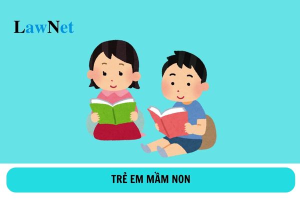 Trẻ em mầm non 05 tuổi được miễn học phí từ 01/9/2024?