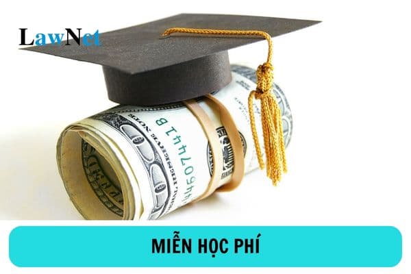 Sinh viên khuyết tật có được miễn học phí không? Hồ sơ thực hiện miễn giảm học phí đối với sinh viên tại cơ sở giáo dục đại học gồm những gì?