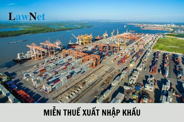 Miễn thuế xuất nhập khẩu đối với các hàng hóa phục vụ bảo đảm an sinh xã hội nào?