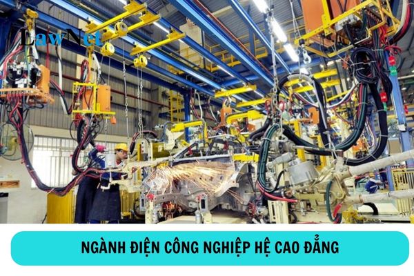 Học cao đẳng ngành điện công nghiệp ra làm gì?