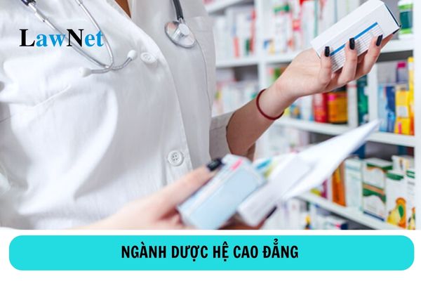 Học ngành dược hệ cao đẳng ra trường làm gì?