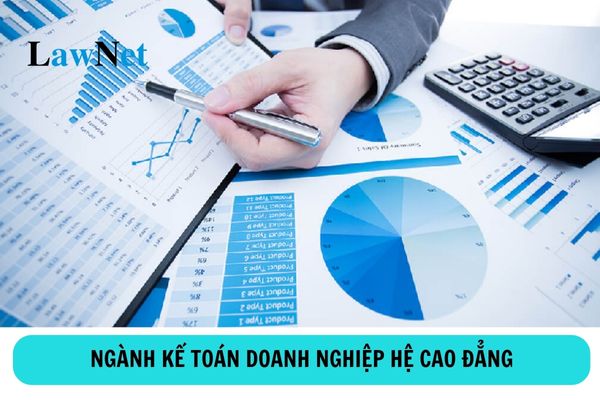 Học ngành kế toán doanh nghiệp hệ cao đẳng có thể làm gì?