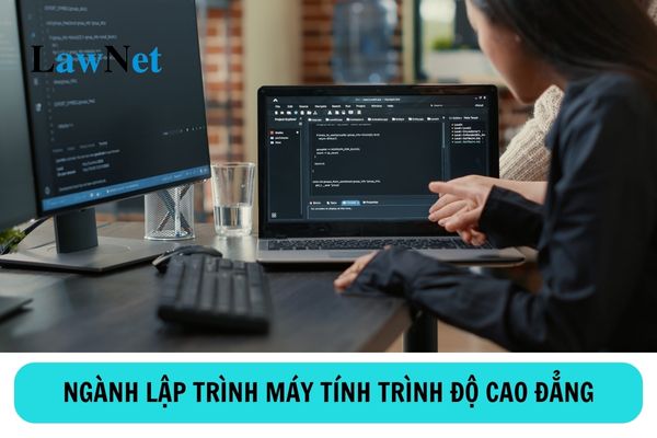 Học cao đẳng ngành lập trình máy tính có thể làm việc tại các vị trí nào?