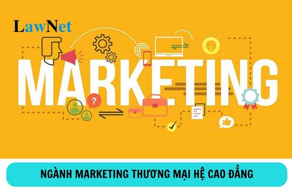 Học cao đẳng ngành marketing thương mại ra trường làm gì?