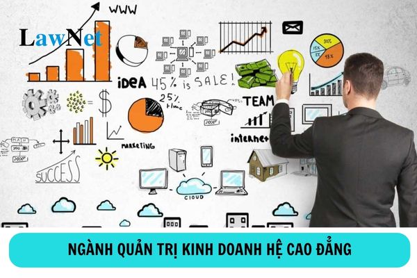 Học cao đẳng ngành quản trị kinh doanh có thể làm gì?