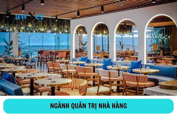 Học cao đẳng ngành quản trị nhà hàng ra làm gì?