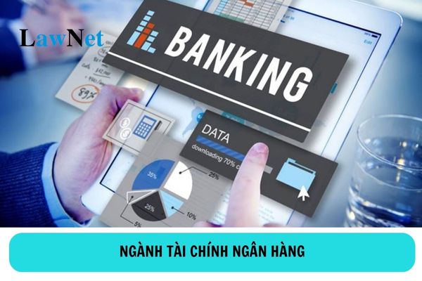 Học ngành tài chính ngân hàng hệ cao đẳng sau khi ra trường có thể làm gì?