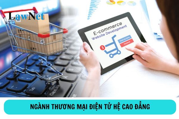 Học cao đẳng ngành thương mại điện tử ra trường làm gì?