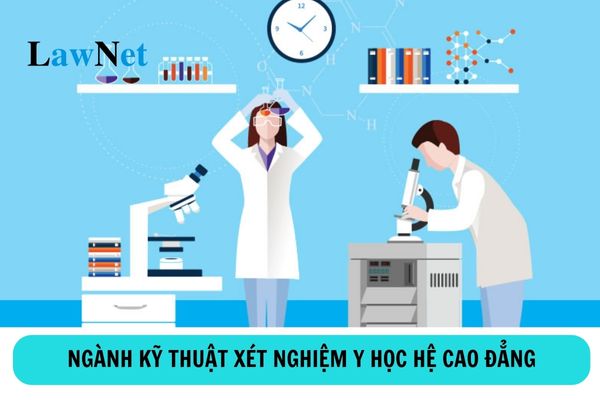 Học ngành kỹ thuật xét nghiệm y học hệ cao đẳng ra trường làm gì?