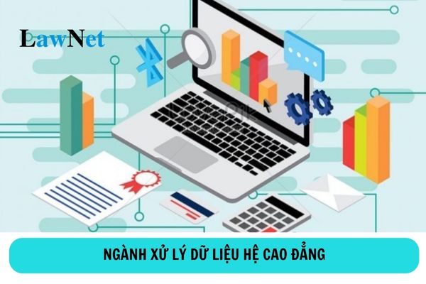 Học cao đẳng ngành xử lý dữ liệu ra trường làm gì?