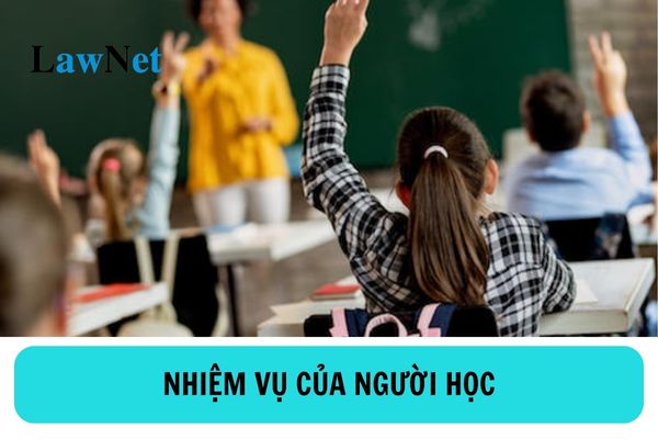 Nhiệm vụ của người học trong cơ sở giáo dục là gì? Người học bao gồm những ai?