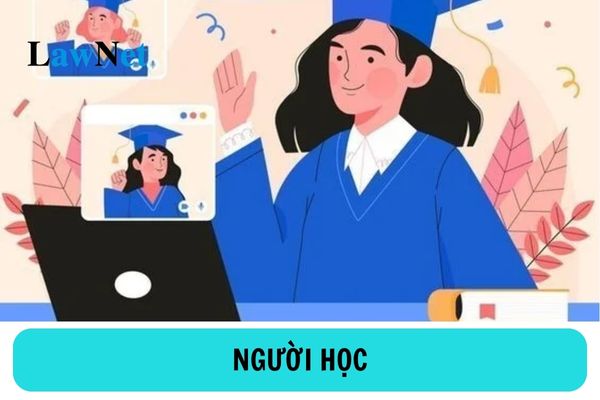 Người học có các quyền gì? Các chính sách đối với người học được quy định ra sao?